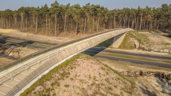 RVB-Bergeijk-bospad-001